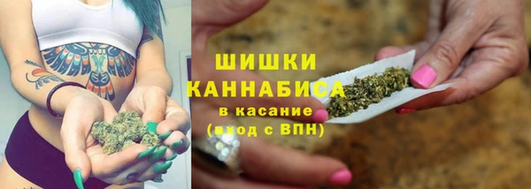 PSILOCYBIN Усинск
